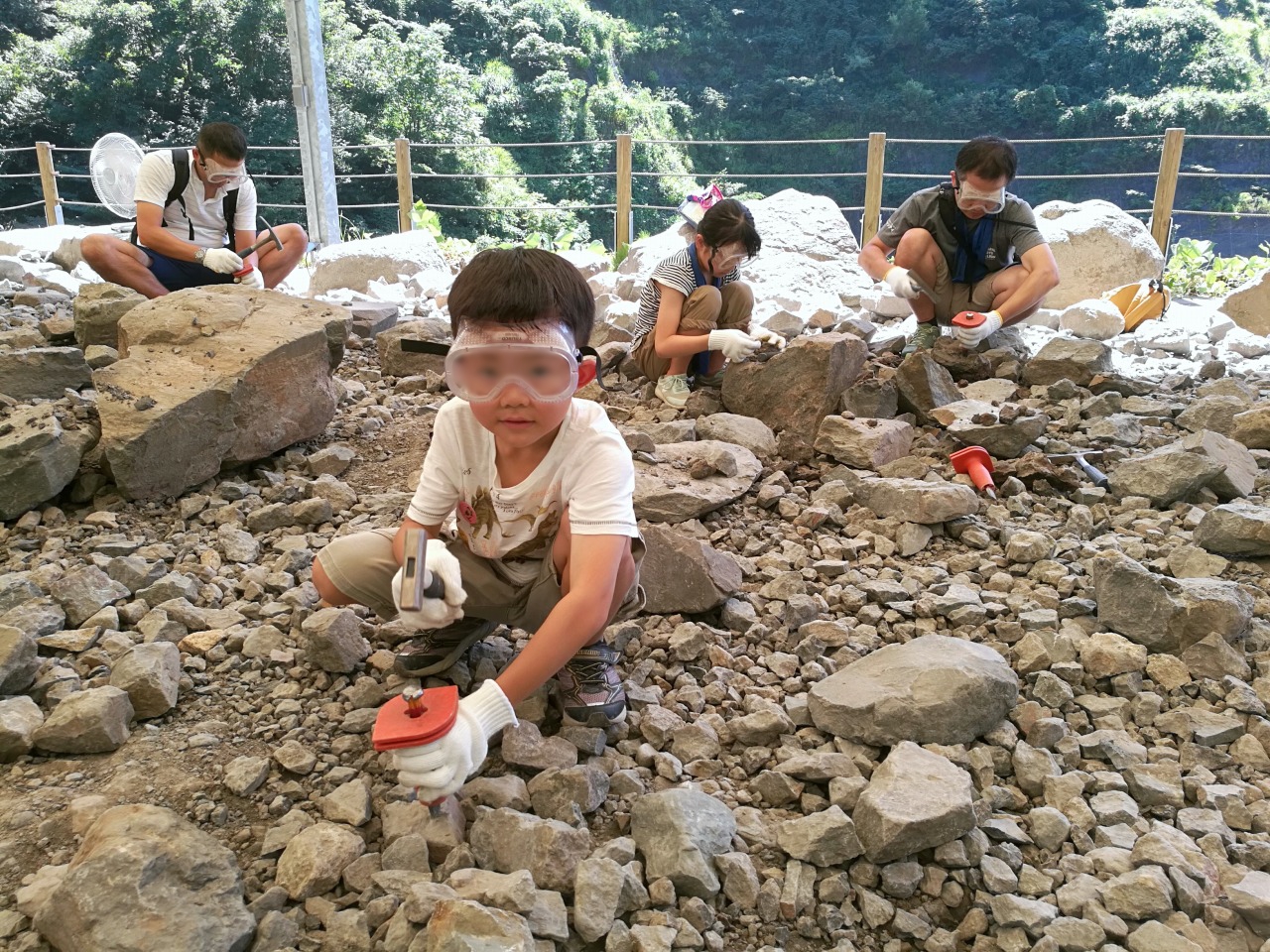 福井恐竜博物館で大人も子供も夢中になれる化石発掘体験を まなびや